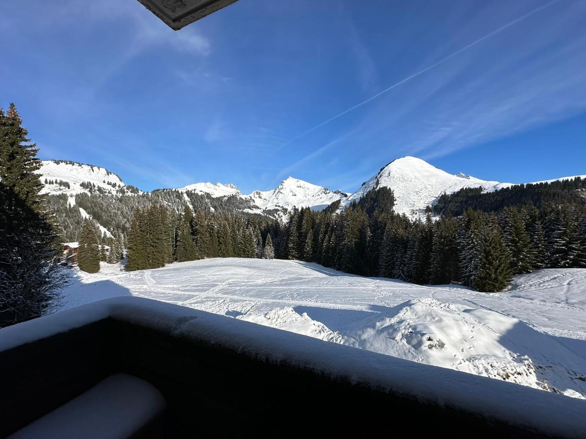 Studio Au Coeur Du Praz-De-Lys - Les Pralyssimes Le Praz de Lys Exterior foto