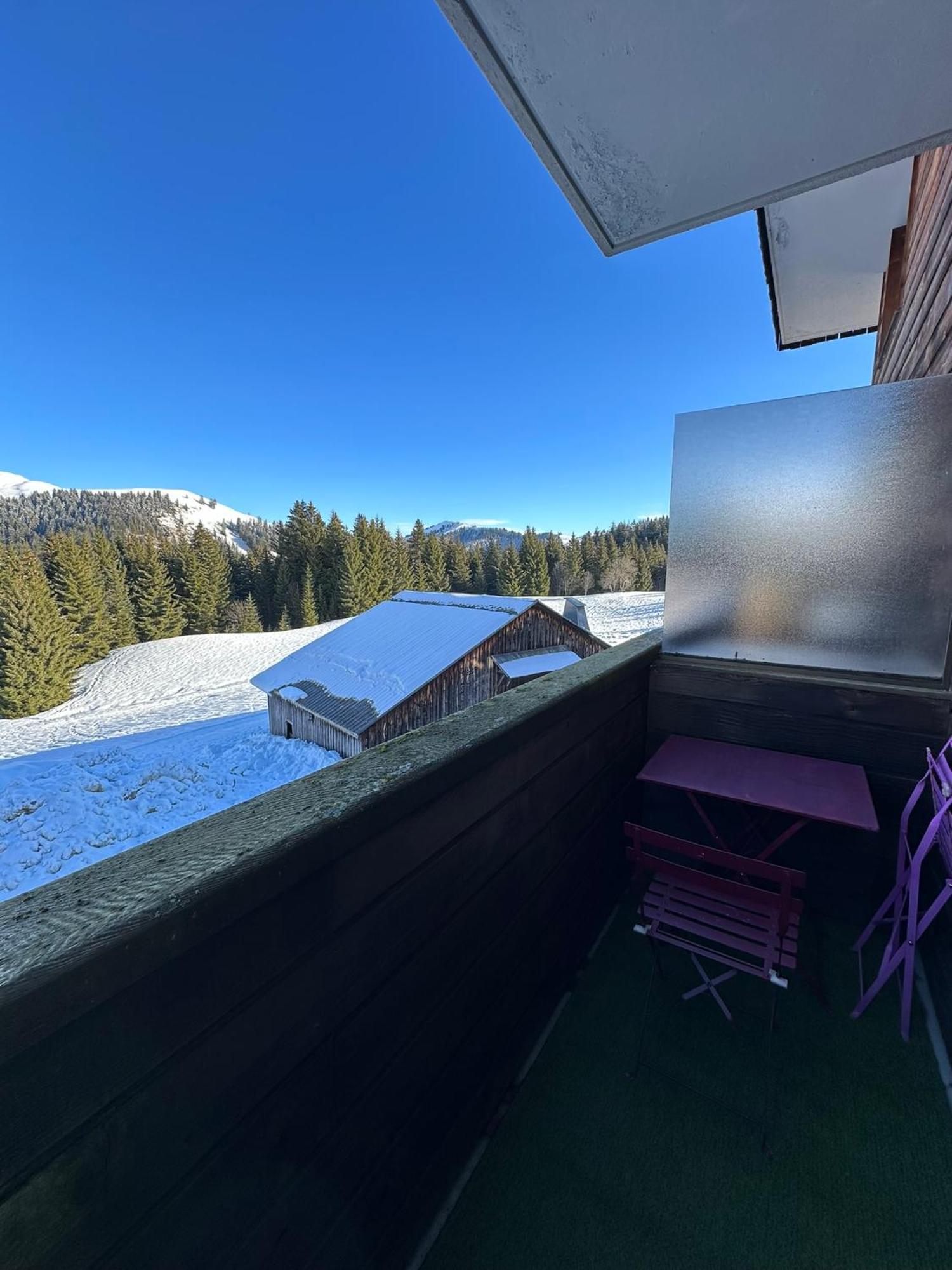 Studio Au Coeur Du Praz-De-Lys - Les Pralyssimes Le Praz de Lys Exterior foto