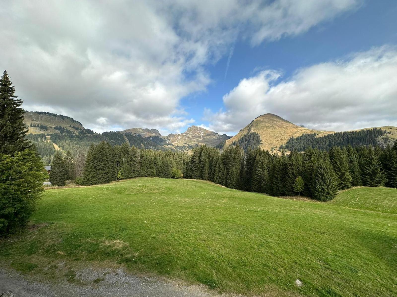 Studio Au Coeur Du Praz-De-Lys - Les Pralyssimes Le Praz de Lys Exterior foto